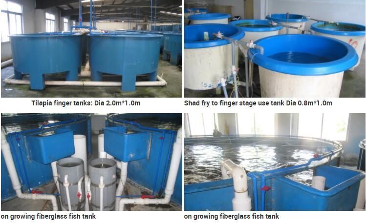 Fish Tank Farming Durable Fish Farming Tank