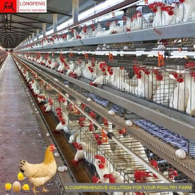 Chicken Poultry Farm Layer Cages a Type Egg Laying Cage Factory 9Ltd390/3120/4120/4160