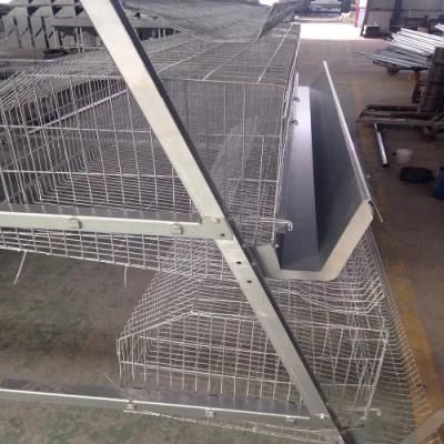 Hot Selling Type a Layer Cage Raising Equipment