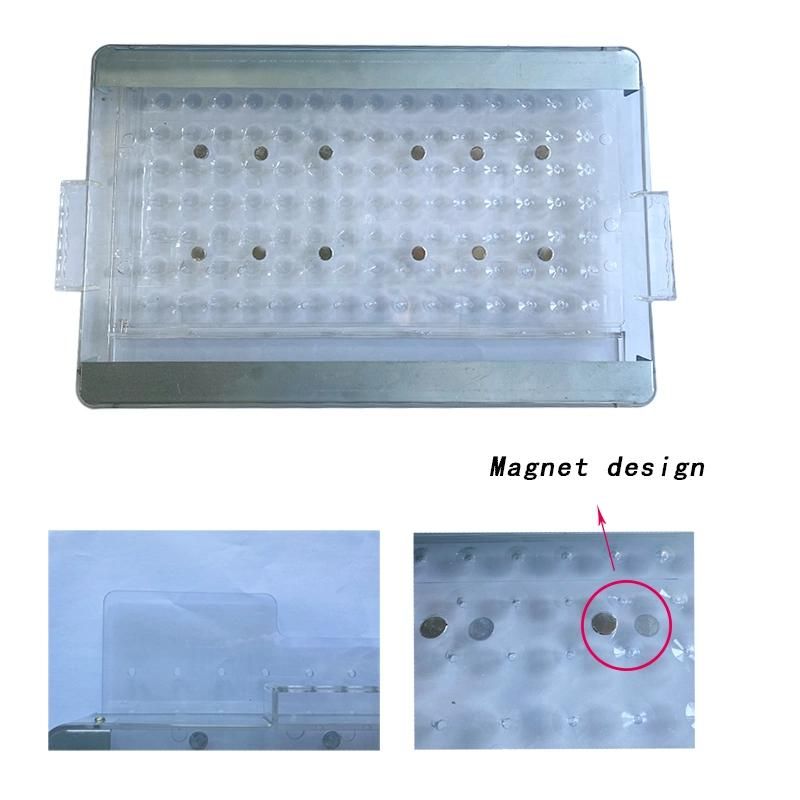 Planting Chinese Cabbage, Pepper, Radish and Vegetable Seeds in Plastic Plug