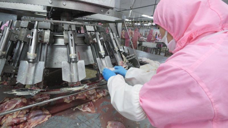 Chicken Meat Deboner Machine of Drumstick Wing and Neck
