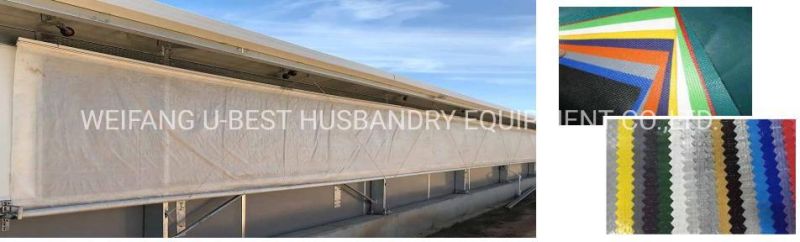 Turnkey Project for Poultry Farm Design with Prefab House Material and Automatic Chicken Farm Equipment