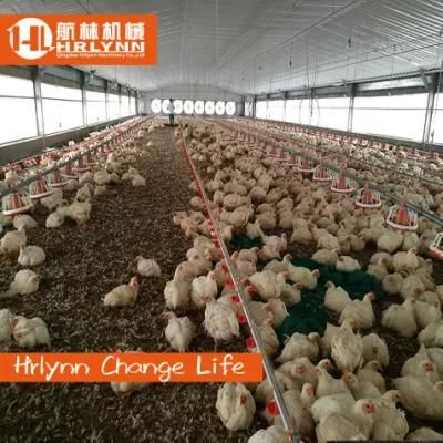 Automatic Poultry Farm Equipment Broiler Feeding System Chicken Feeders