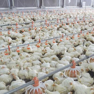 U-Best Prefabricated Poultry Control Chicken House