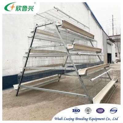 3 Tiers 4 Tiers a Type Chicken Cage for Sale
