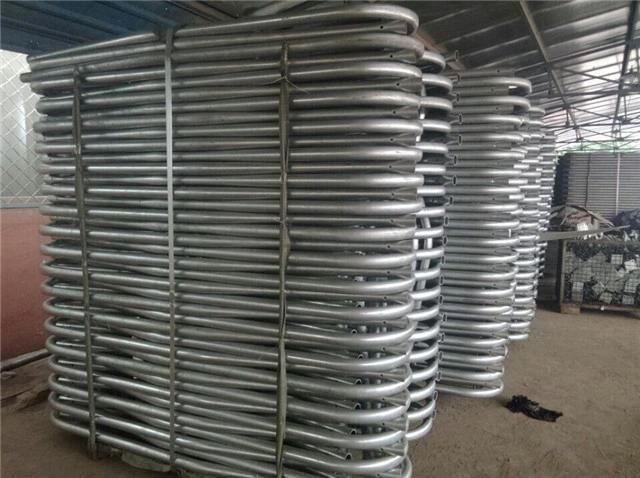Cow Headlock with Hot-Galvanized Steel Pipe / Cow Equipment / Cattle Headlock China