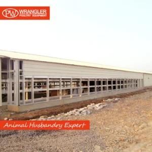 Modern Farm Total Solution/Prefabricated Steel Structure Poultry House