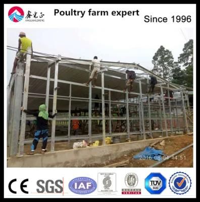 Layer Cage System Broiler Poultry Farm Equipment