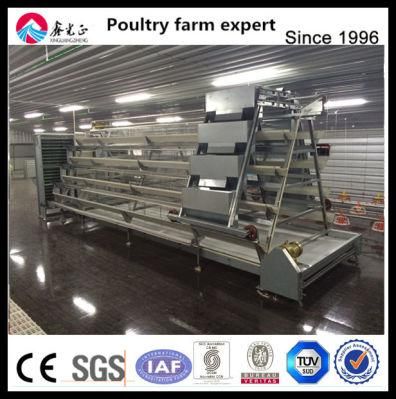 Chicken Layer Cages for 5000-10000 Layers