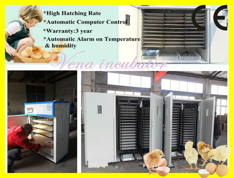 Full Automatic Industrial Commercial Chicken Egg Incubator Va-5280