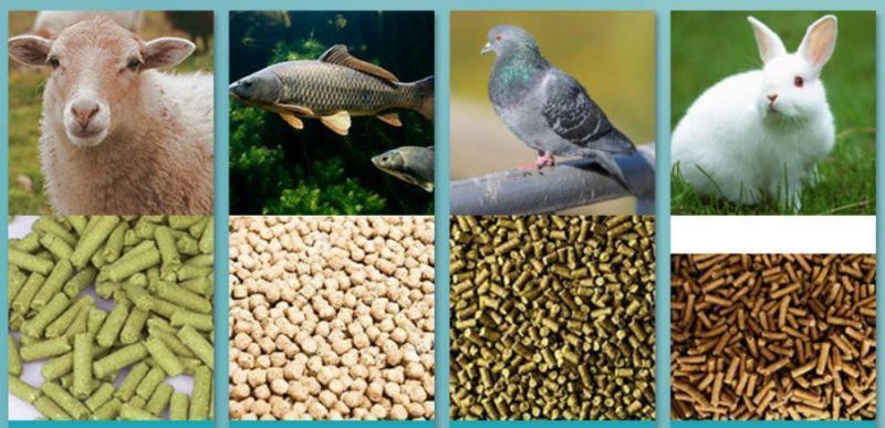 High Quality Pakistan Farm Machine Cattle Feed Mill Extruded Chicken Pellet Machine