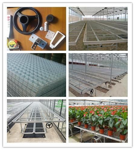 Seeding Nursery Equipment/Movable Bench Facility for Green House Seeding Cultivation