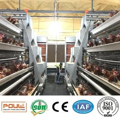 Layer Chicken Cage Machinery Livestock Equipment