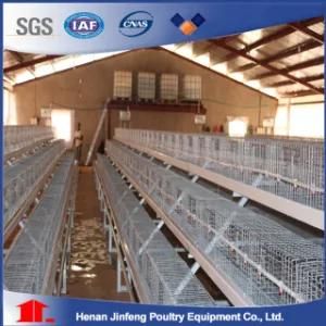 High Quality Broiler Cage Chicken House for Poultry Farm