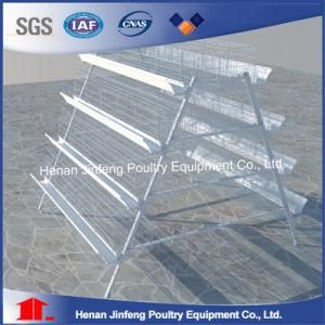 Hot Chicken Equipment for Chicken Farm Use (JF-V-C001)