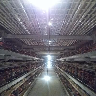 Layer Egg Chicken Cage for Poultry Farm Poultry Farm Design