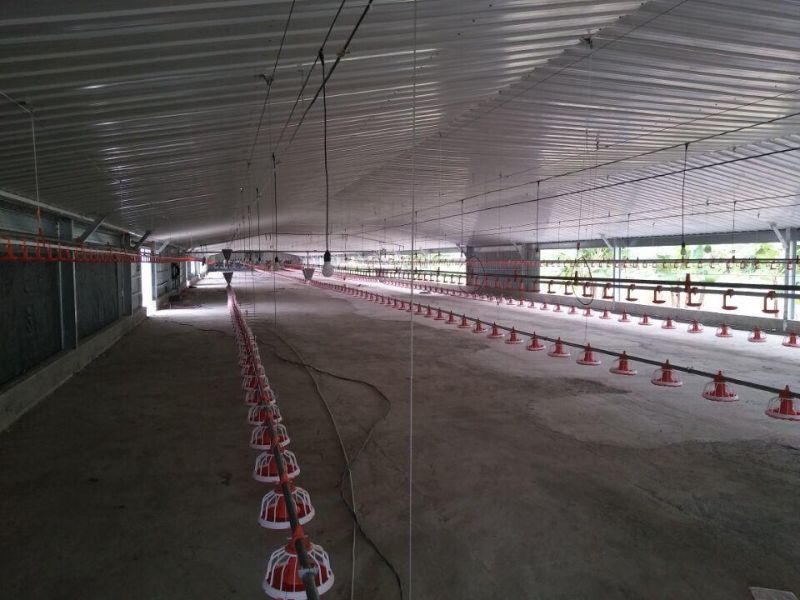 Xinguangzheng Designed Broiler Equipment