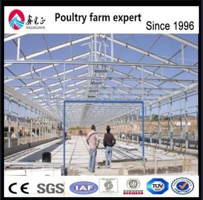 Whole Set Poultry Farm House Design Drawing for Broiler/Breeder