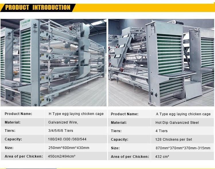 2021 New Type Layer Chicken Cage with Automatic Machine System (H Frame)