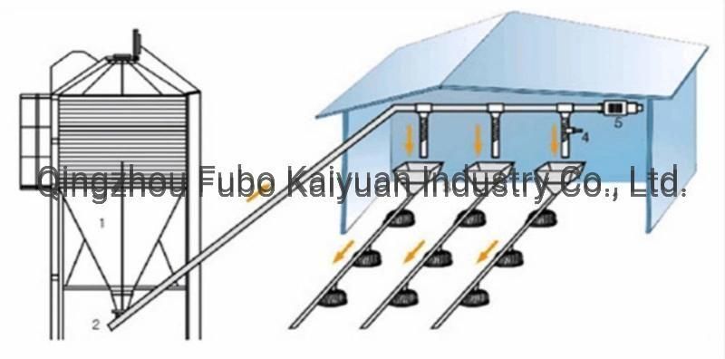 Automatic Farming Feeding & Drinking Poultry Equipment for Broiler/Chicken House/Duck House