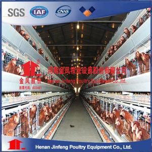 H Type Layer Chicken Cage (9BDH-H5300)