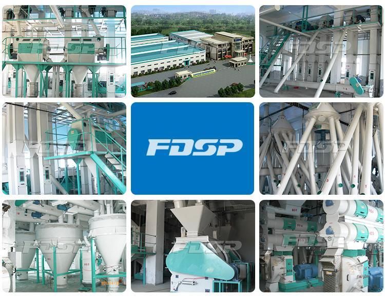 High Capacity Chicken Feed Production Cattle Feed Machinery for Sale