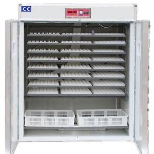 China New Condition and Bird, Ostrich, Parrot Fertile Egg Usage Fertilized Turkey Eggs Incubator