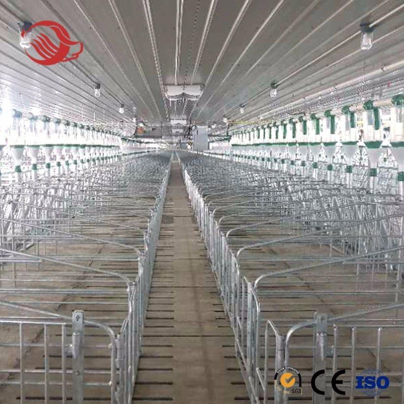 Whole Sale Hot Dipped Galvanizing Steel Pig Gestation Crate