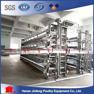 Chicken Cage Jaulas Pollos Battery Layer Poultry Cages