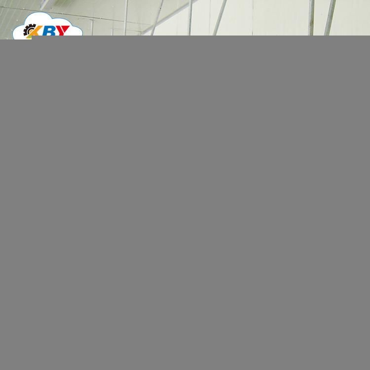 Hot Sale 2021 Poultry Slaughter Equipment Chicken Plucker Defeather Machine Higher Plucking Performance