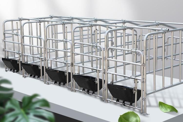 Pig Gestation/Positional/Nursery/Farrowing Crate Pig Equipment for Sale