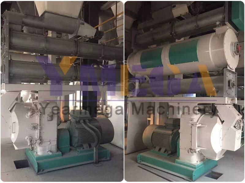 Complete Feed Factory Full Automatic Double Line 20t/H Animal Feed Pellet Plant