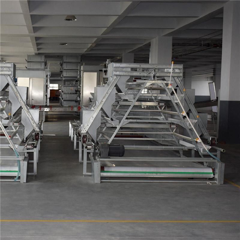 Hot Selling Automatic Poultry Equipment Battery Cage