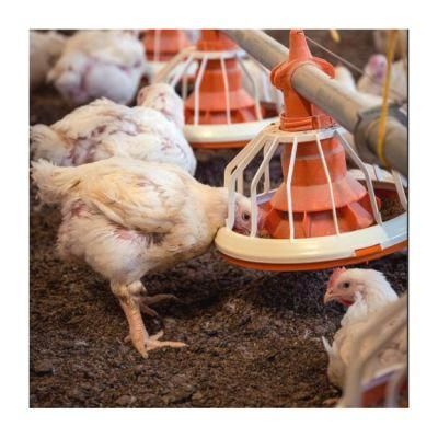 Chicken Farming Equipment for Laying Hens / Dubai Broiler Farm Chicken Coop for Sale