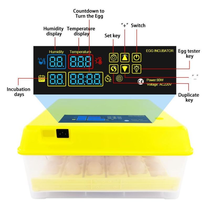 Hot Sale Full Automatic 36 PCS Mini Egg Incubator Hatching Machine Industrial Incubator