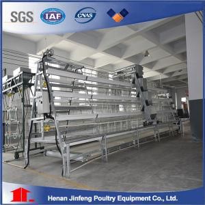 Poultry Battery Cage for Farm Chicken Cage Jinfeng Poultry