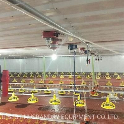 Electrical Control Poultry Farm Equipment for Broiler Chicken
