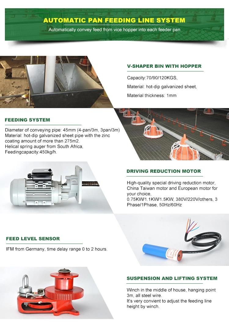 Good Quality Automatic Chicken Farm Poultry Equipment in Pakistan