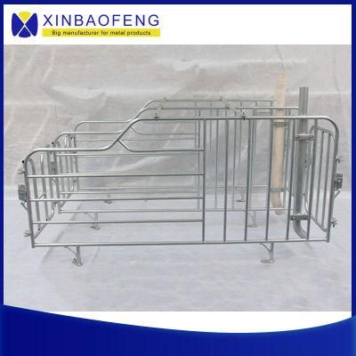 a Farrowing Pen Used by a Pig Farm for Sows Farrowing