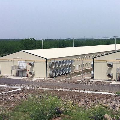 Long Life Easily Operated Automatic Stainless Steel Broilers Feeding Machine