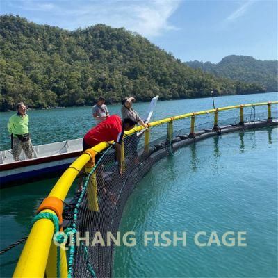 Tilapia Farming Cage with Technical Team Support