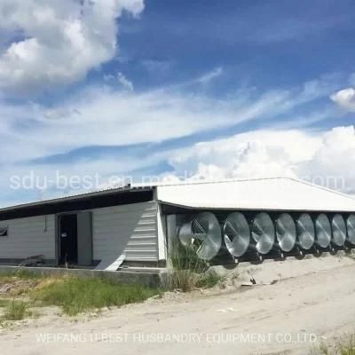 Prefabricated Fast Construction with Controller Equipment Poultry Broiler Breeder House Farm