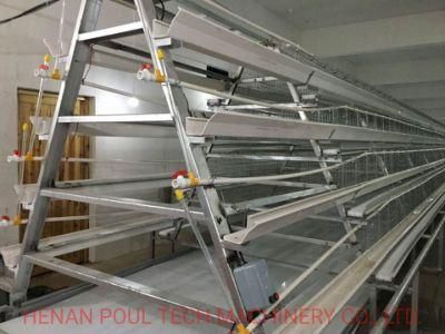 a Type Layer Cage Raising Equipment for 10000 Layer Chickens