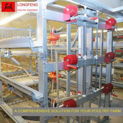 Poultry Farming Equipment High Density Longfeng Standard Packing Broiler Chicken Cage