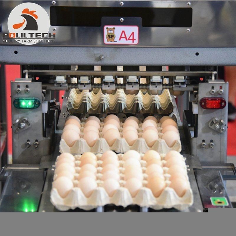 Sale Poultry Egg Grading & Packing Machine Used in Layer Farm