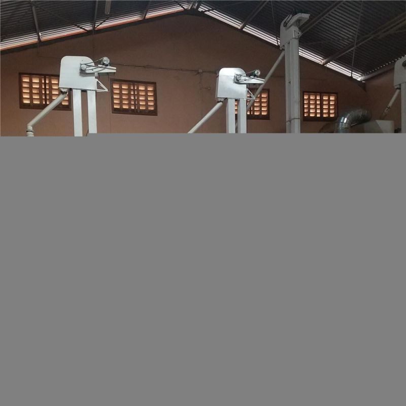 Wheat Cleaning Plant