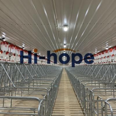 Factory Low Price Complete Swine Farm Automatic Feeding Systm Pig Equipment for Sale