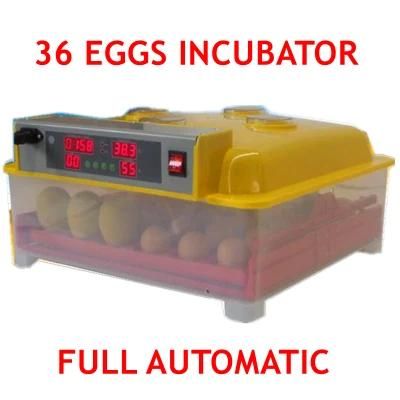 Hot Sale Full Automatic Mini Chicken Egg Incubator for 36 Eggs (KP-36)