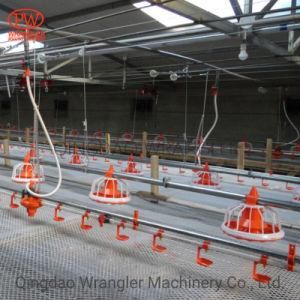 Poultry Farming Automatic Chicken Drinking and Feeding Line System