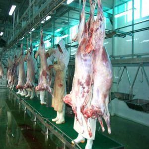 Halal Goat Slaughterhouse Complete Goat Slaughter Equipment Line Islamic Religion Slaughter